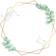 logo cestclairetnet4