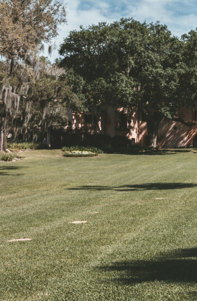 Woman Dressed In White Linen Looks Across Lush Florida Park E1764761946822