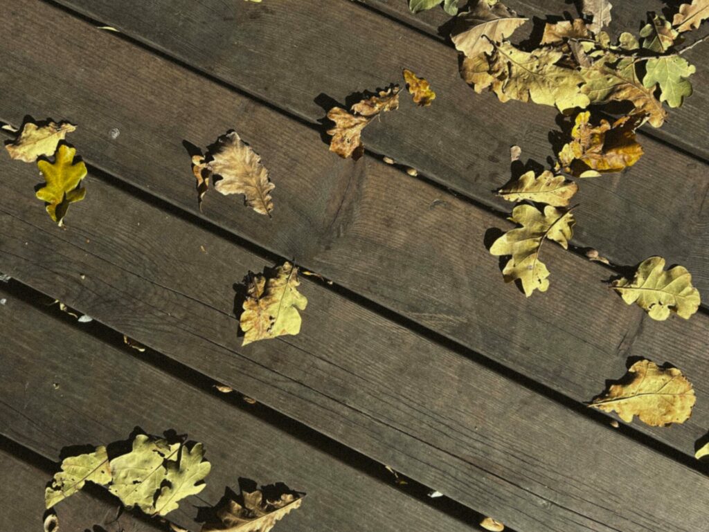 pexels irina kraskova 76947236 18225681